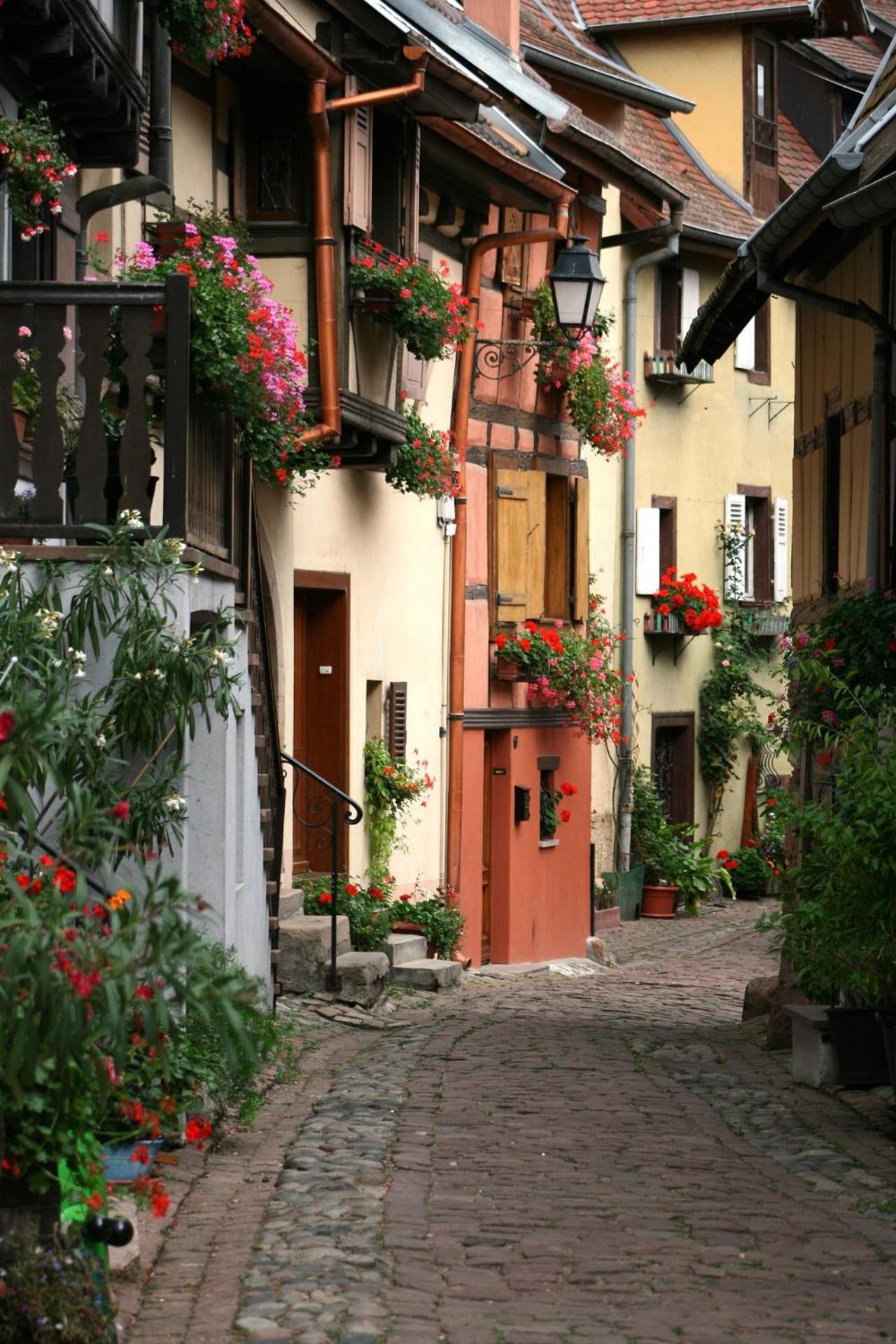 Gite Traditionnel Au Centre Historique D'Eguisheim Esterno foto